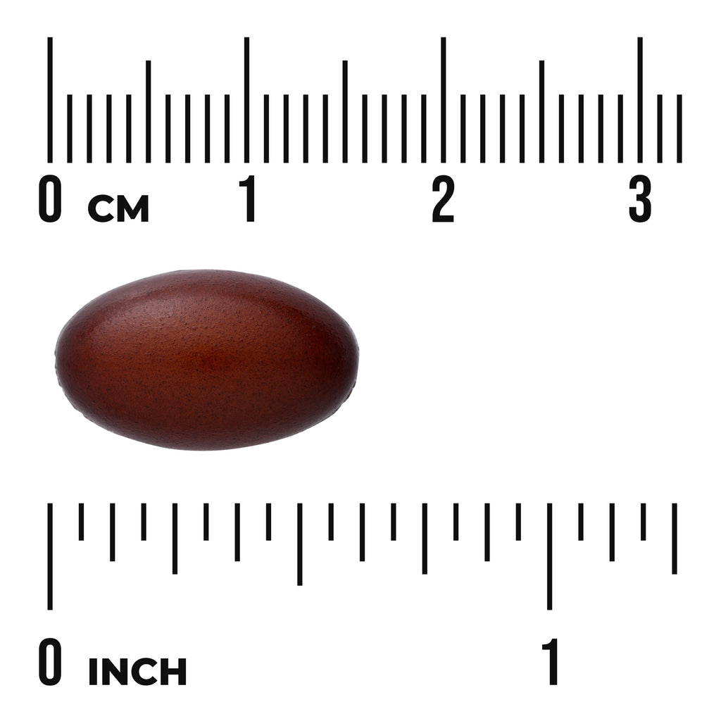 SWU937 | Brown oval softgel shown with centimeter and inch rulers for size - Thumbnail