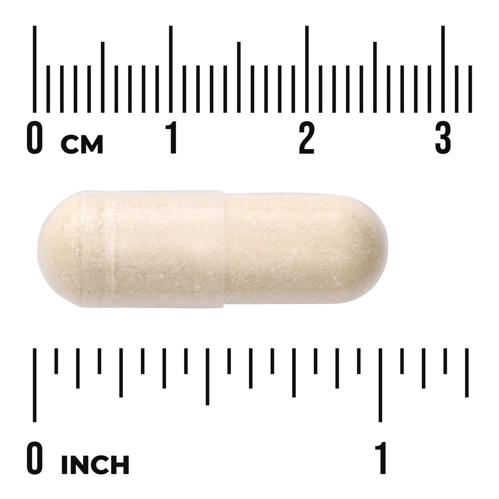 SWA012 | Beige capsule with size reference showing cm and inch rulers - Thumbnail