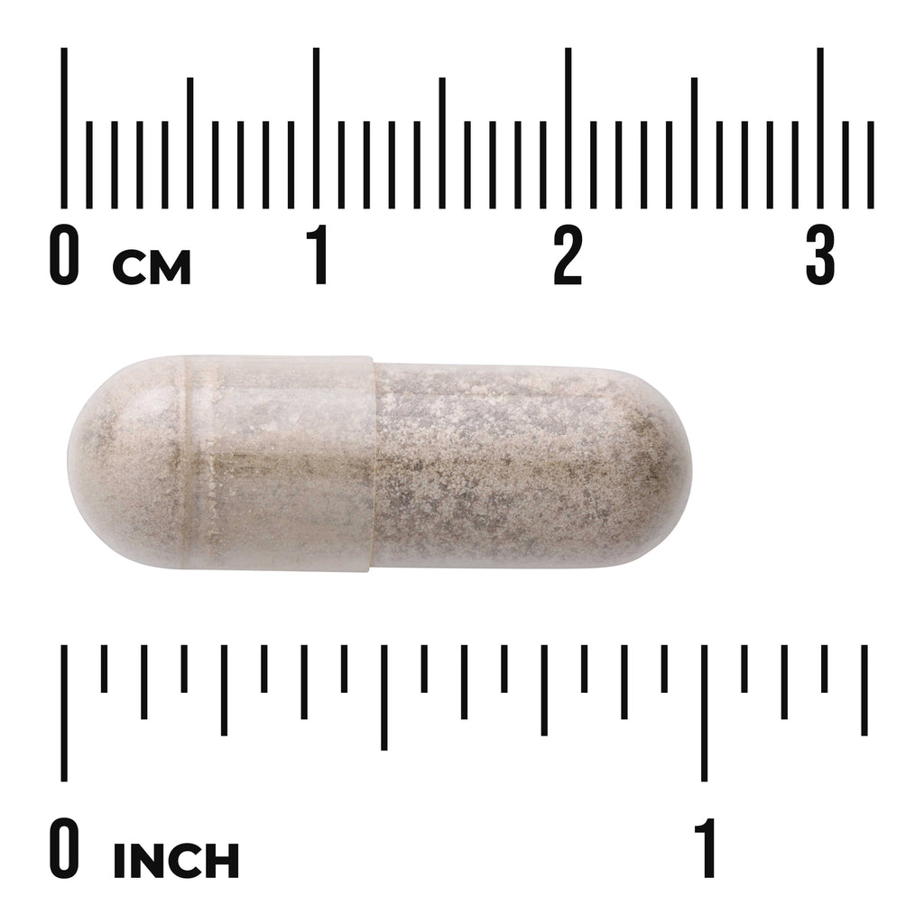 SW959 | Capsule with cm and inch rulers for size reference - Thumbnail