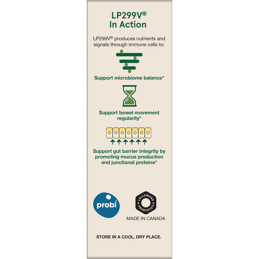 JR130 | Product infographic showing LP299V In Action benefits: support microbiome balance, bowel regularity, and gut barrier integrity - Thumbnail