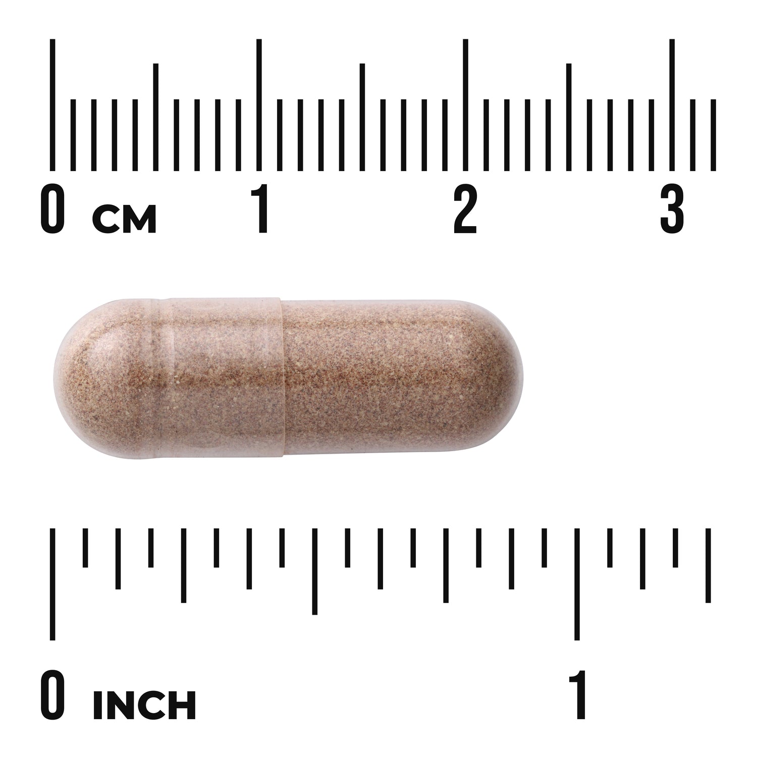 SW910 | Brown capsule with size reference using centimeter and inch rulers