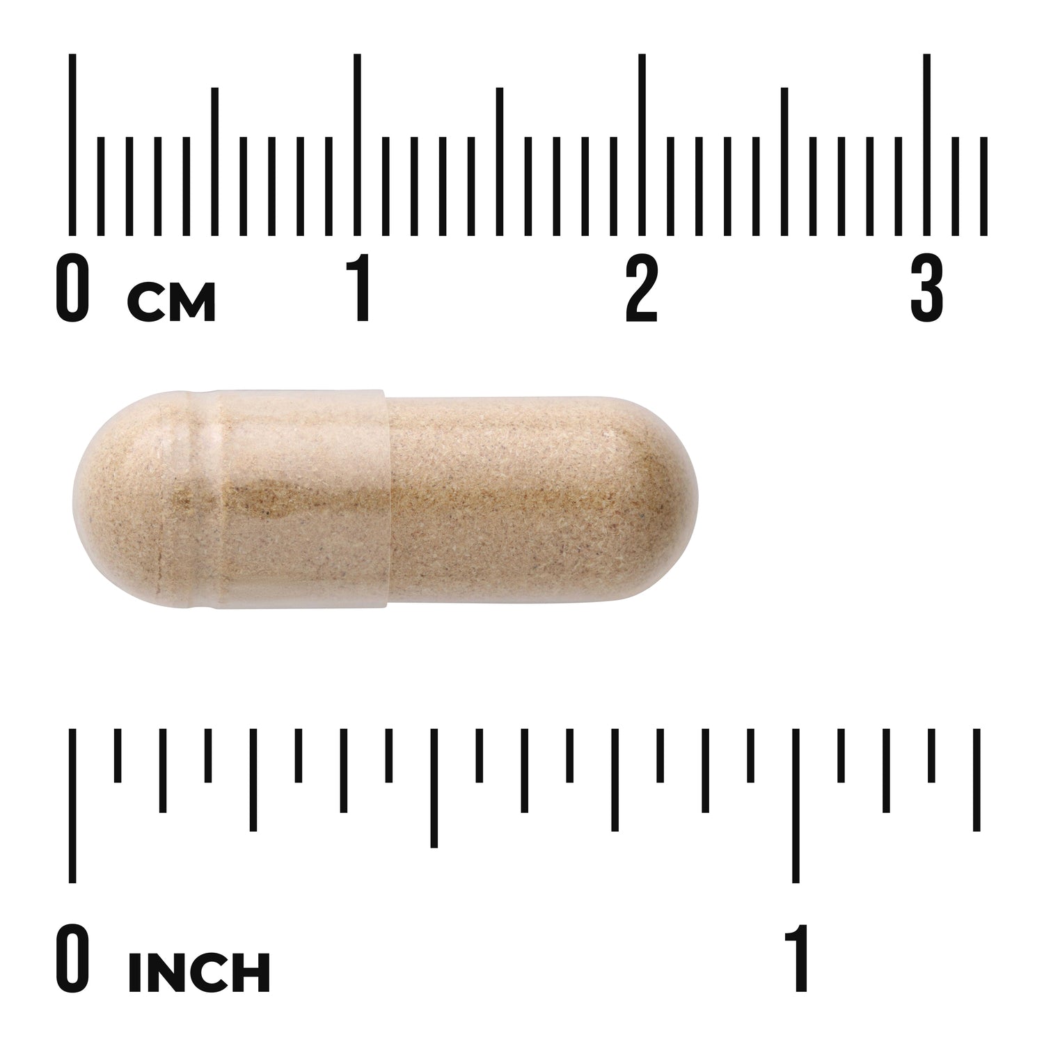 SW504 | Beige capsule with size reference using cm and inch rulers