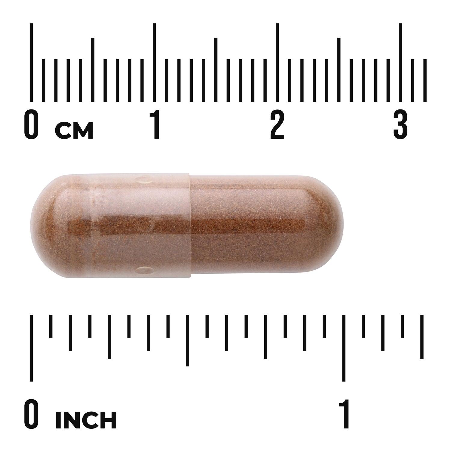 SW1747 | Brown gelatin capsule filled with brown powder aligned with metric and inch rulers to show size