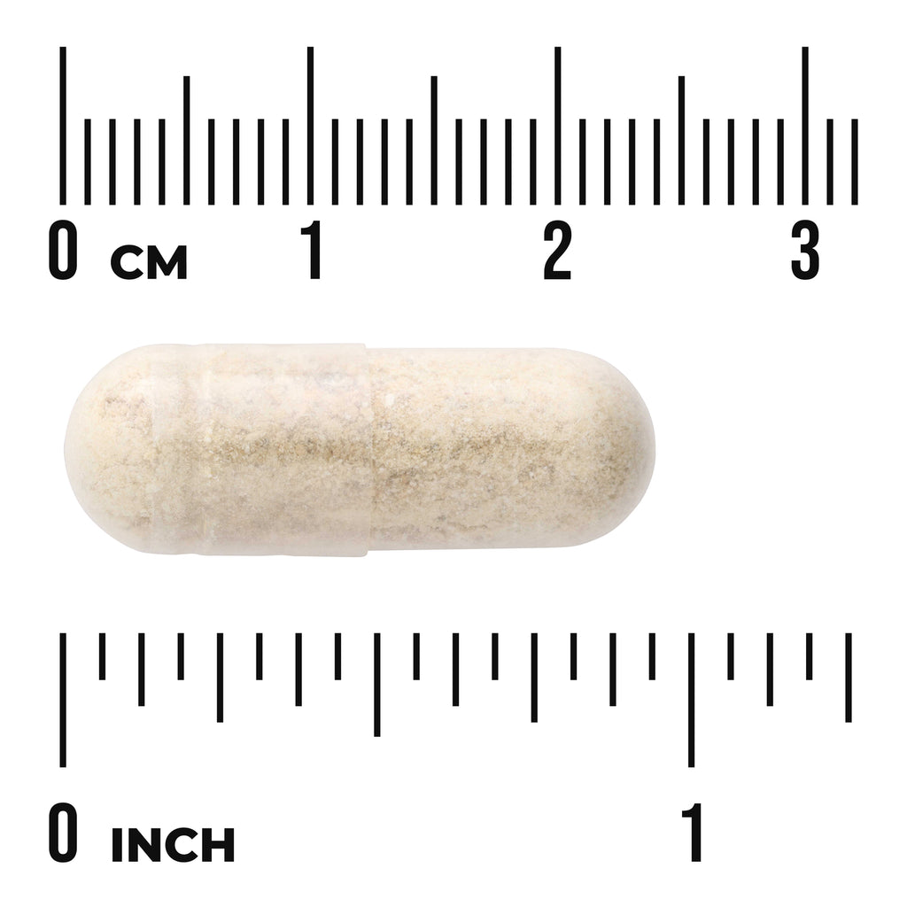 SW1434 | Beige capsule with size shown against cm and inch rulers - Thumbnail