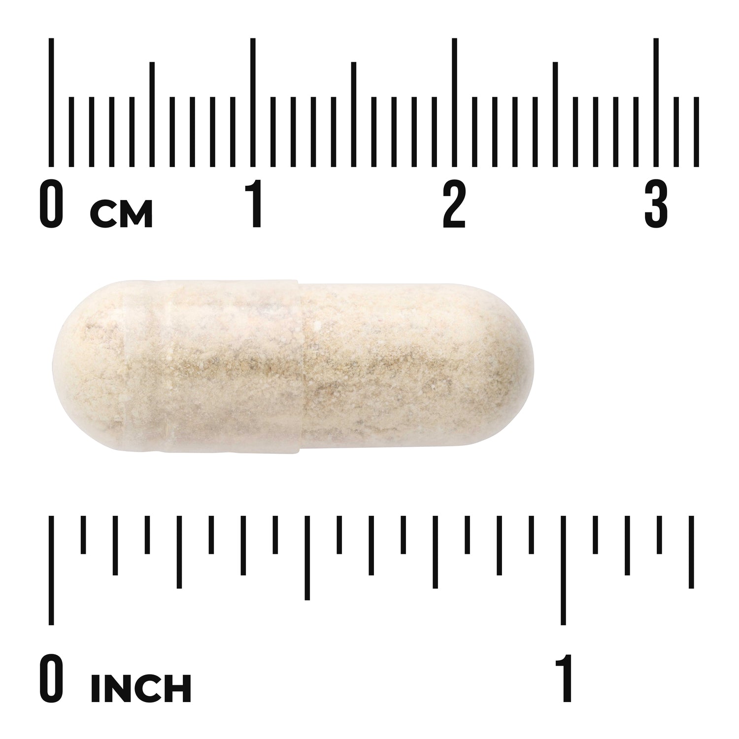 SW1434 | Beige capsule with size shown against cm and inch rulers