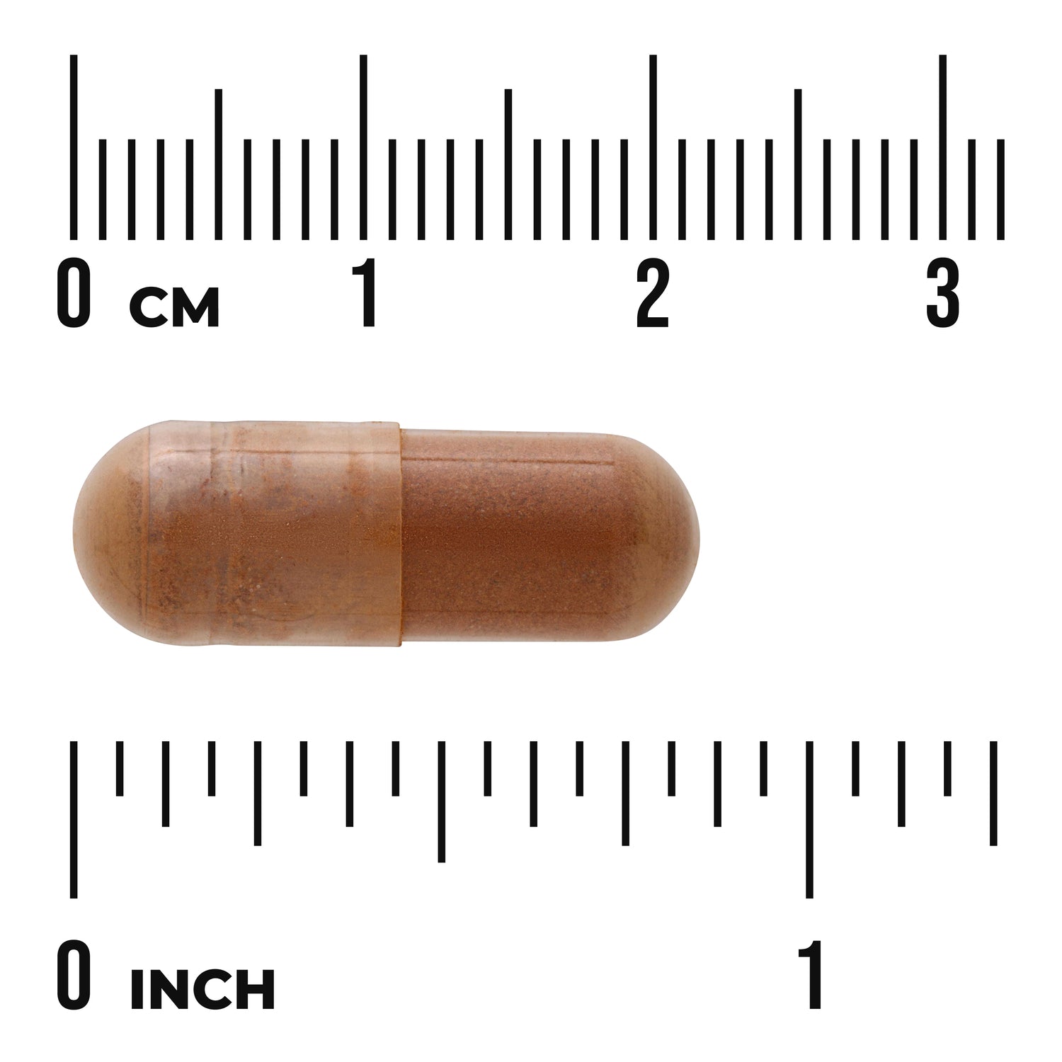 SW1025 | Brown capsule shown with cm and inch rulers for size reference