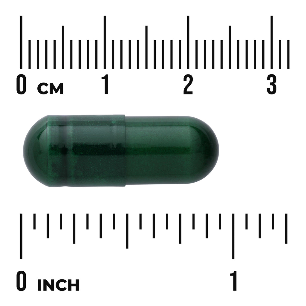 SWC090 | Dark green capsule with centimeter and inch rulers for size reference - Thumbnail