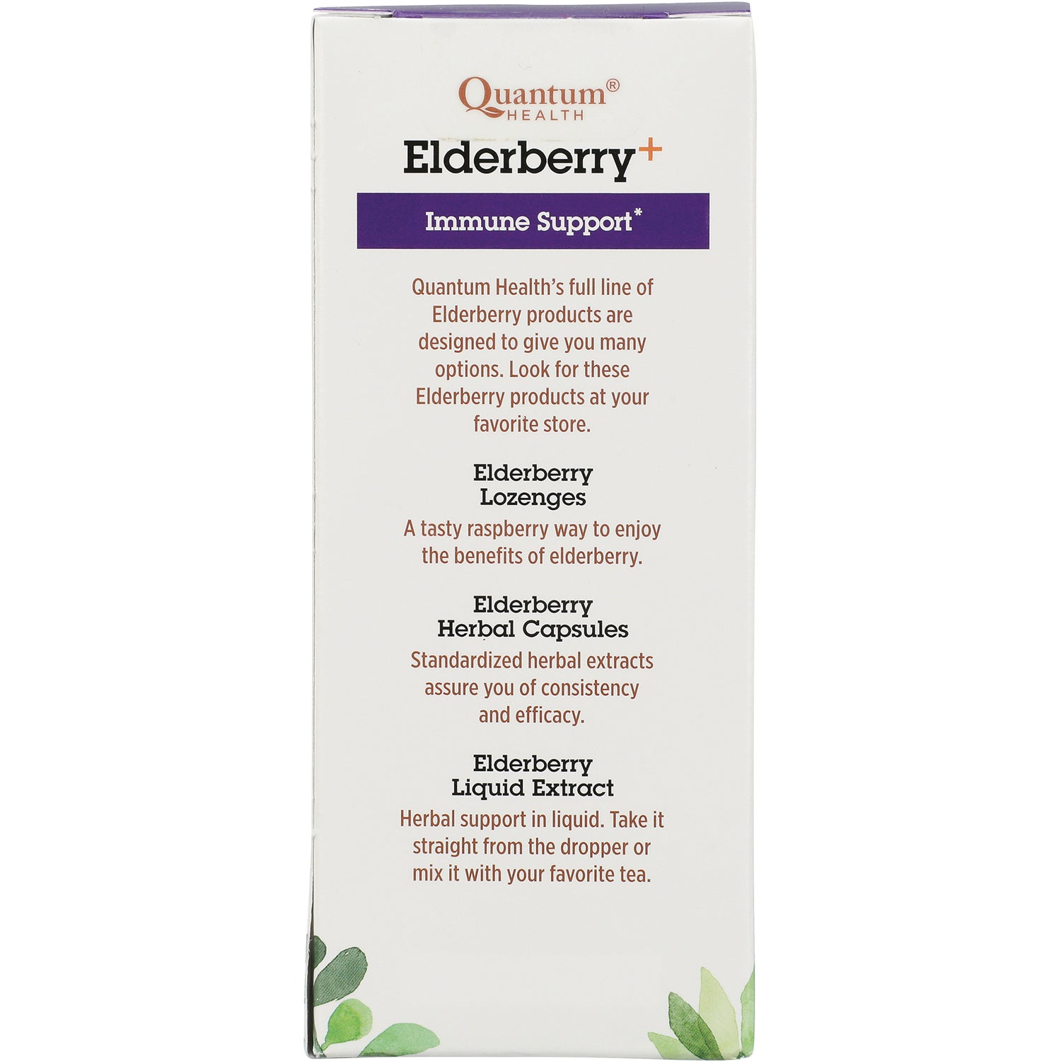 QU049 | Elderberry product infographic panel listing lozenges, herbal capsules, and liquid extract for immune support