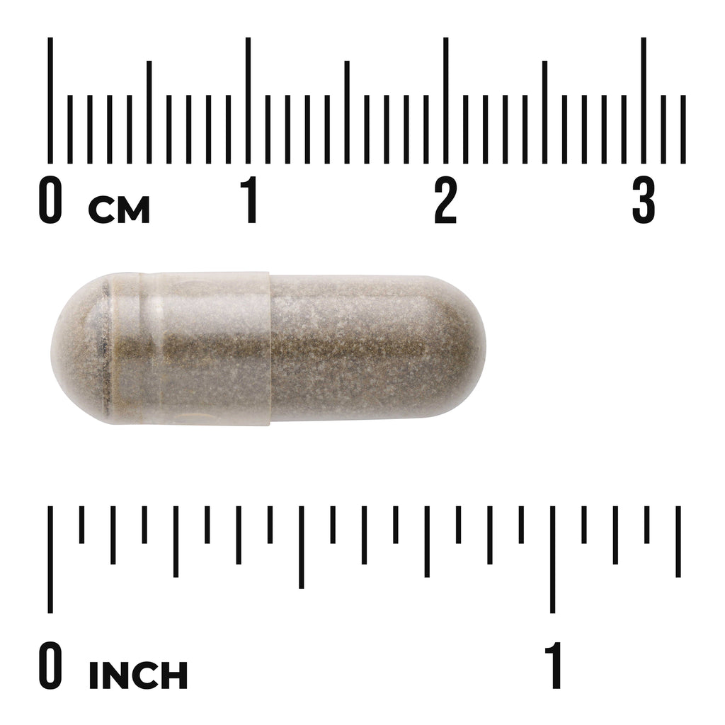 SWH145 | Capsule with size guide showing 0â€“3 cm and 0â€“1 inch scales - Thumbnail