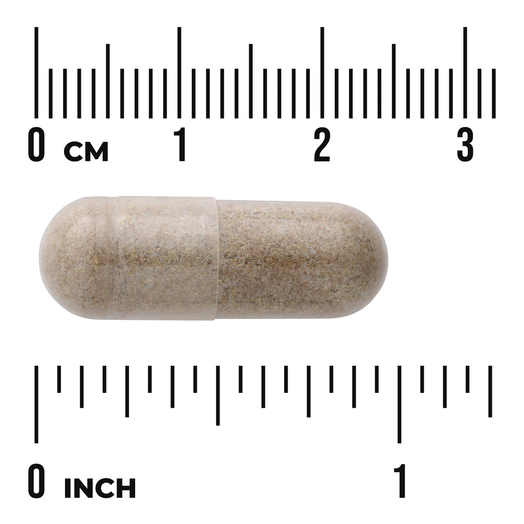 SW1665 | Capsule with powder shown against cm and inch ruler for size reference - Thumbnail