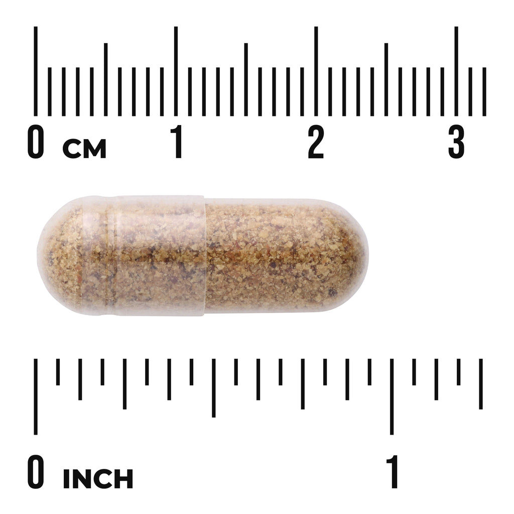 SWR083 | Clear capsule filled with brown granules, shown beside cm and inch rulers for size - Thumbnail