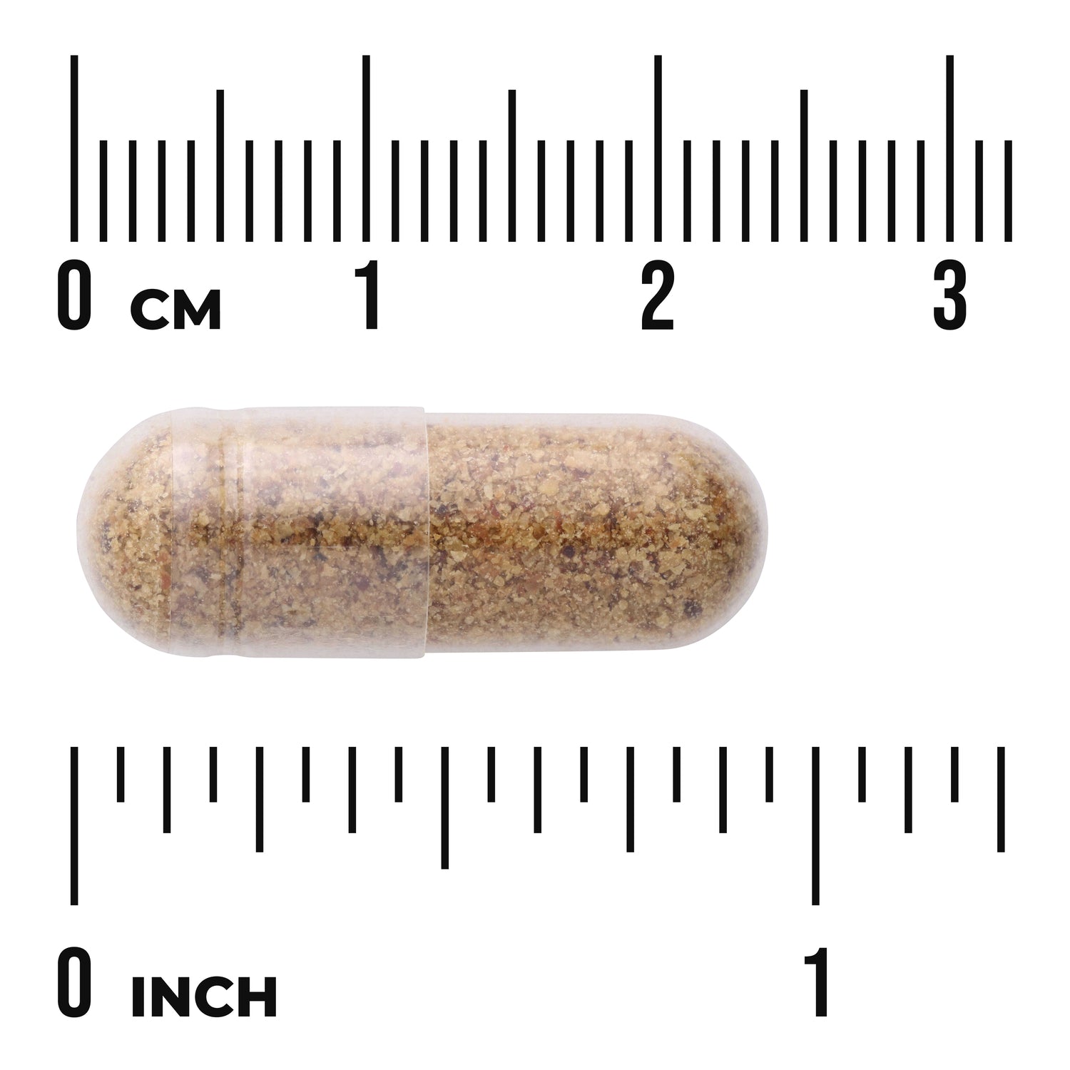 SWR083 | Clear capsule filled with brown granules, shown beside cm and inch rulers for size