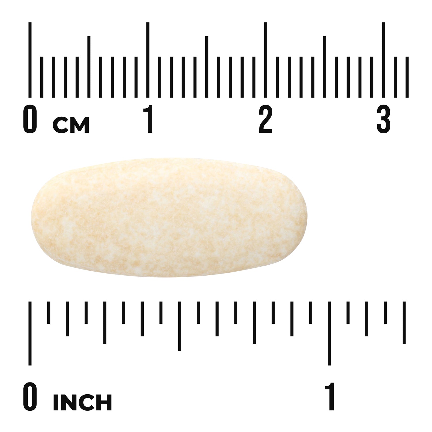 SWU036 | Oblong beige tablet shown with centimeter and inch rulers for size