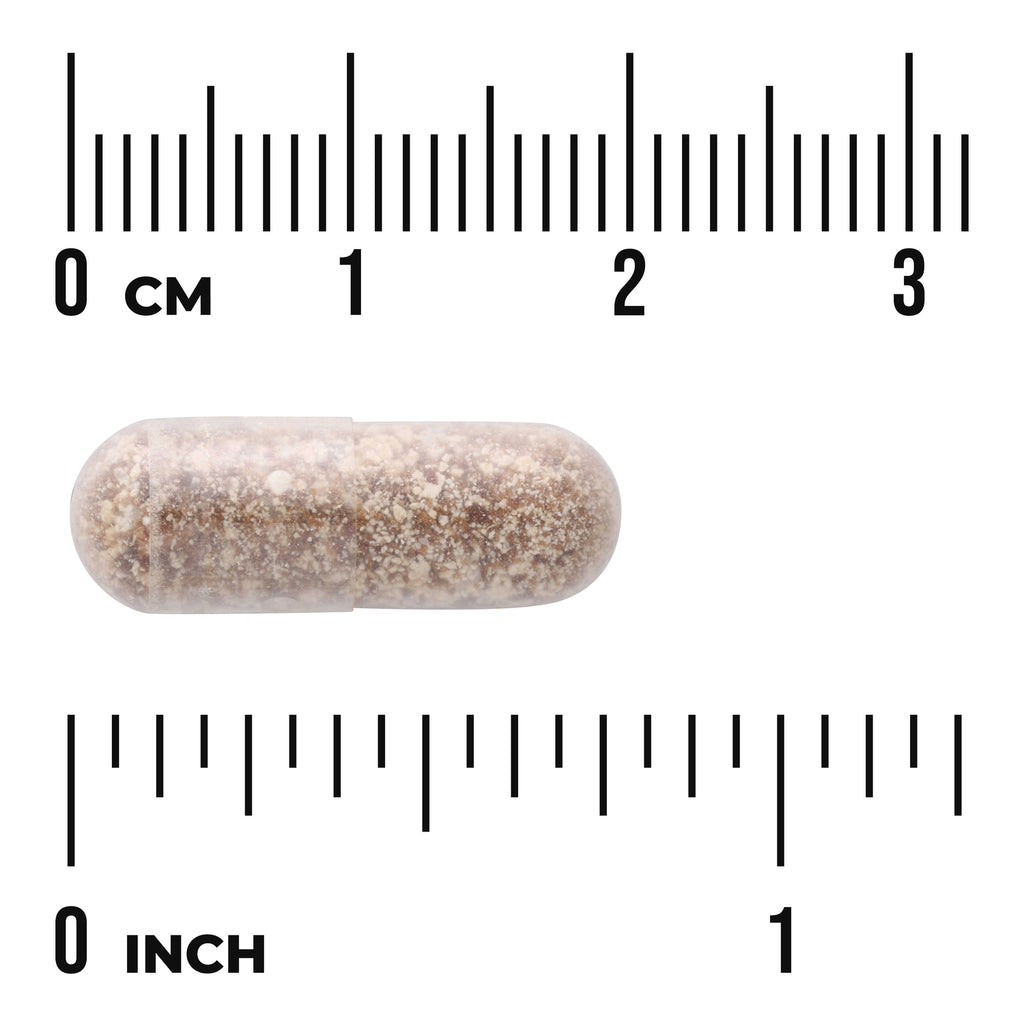 SWU905 | Capsule with beige granules shown next to CM and INCH rulers for size - Thumbnail