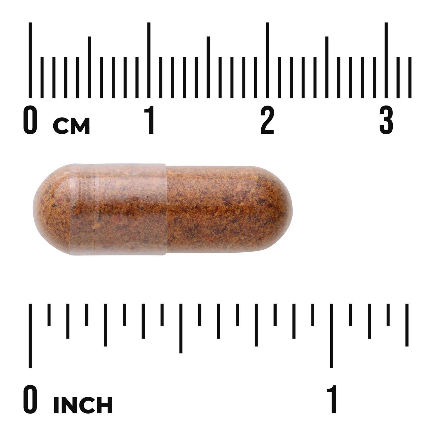 SW1738 | Brown capsule shown with metric and inch rulers for size reference