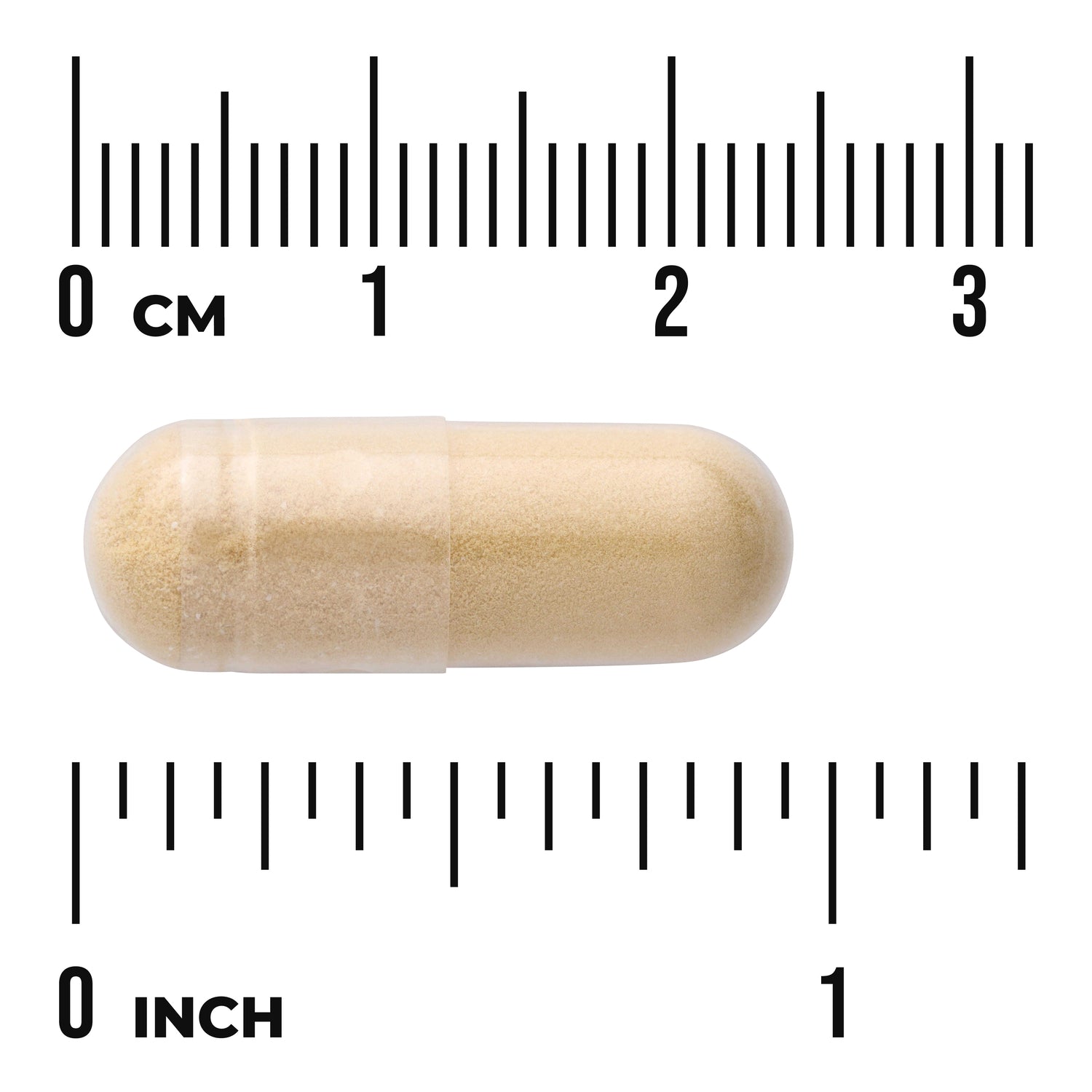 SW972 | Beige capsule shown to scale with rulers in centimeters and inches