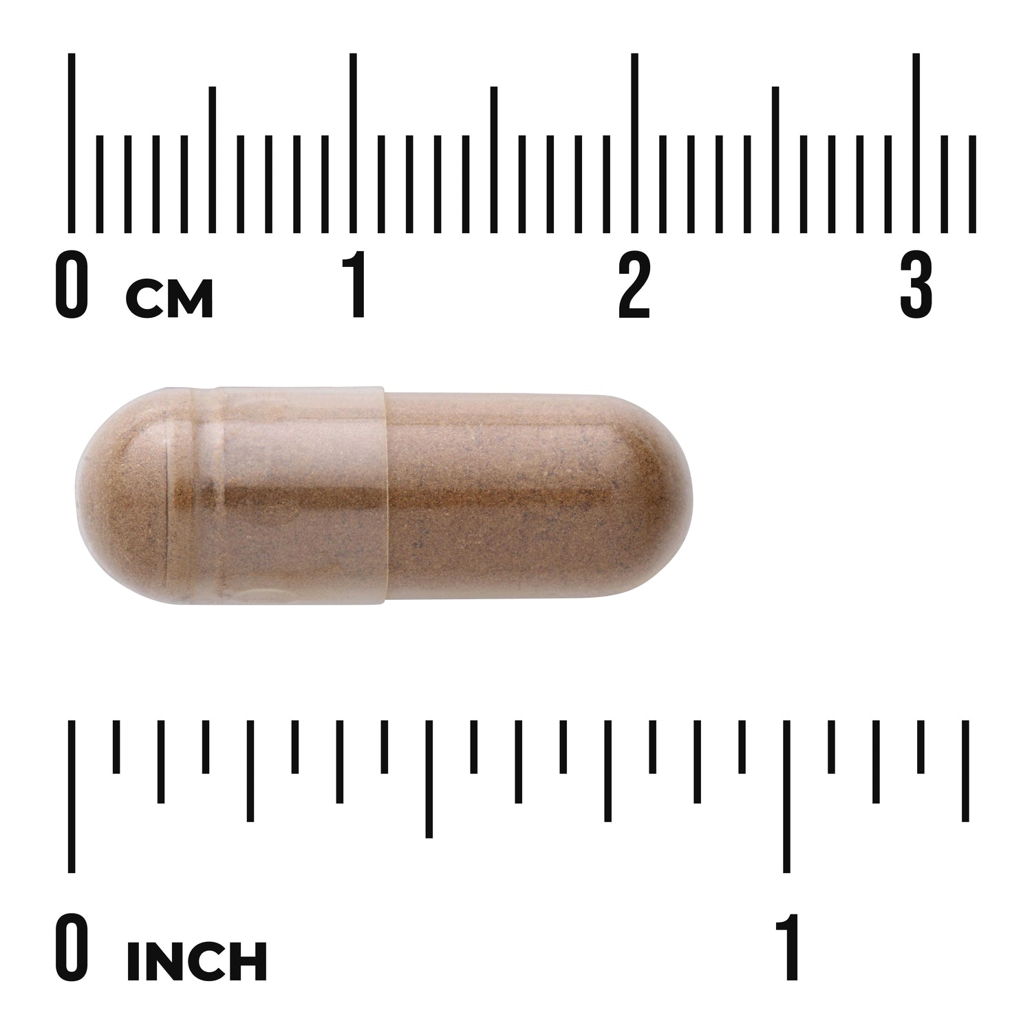 SW531 | Clear capsule with brown powder shown beside cm and inch rulers