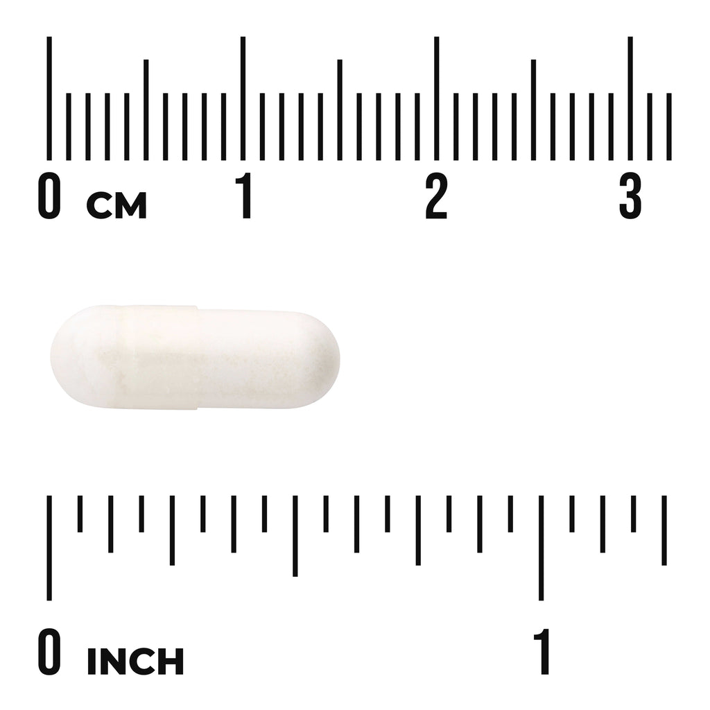 SW235 | White capsule next to centimeter and inch rulers showing approximate size - Thumbnail