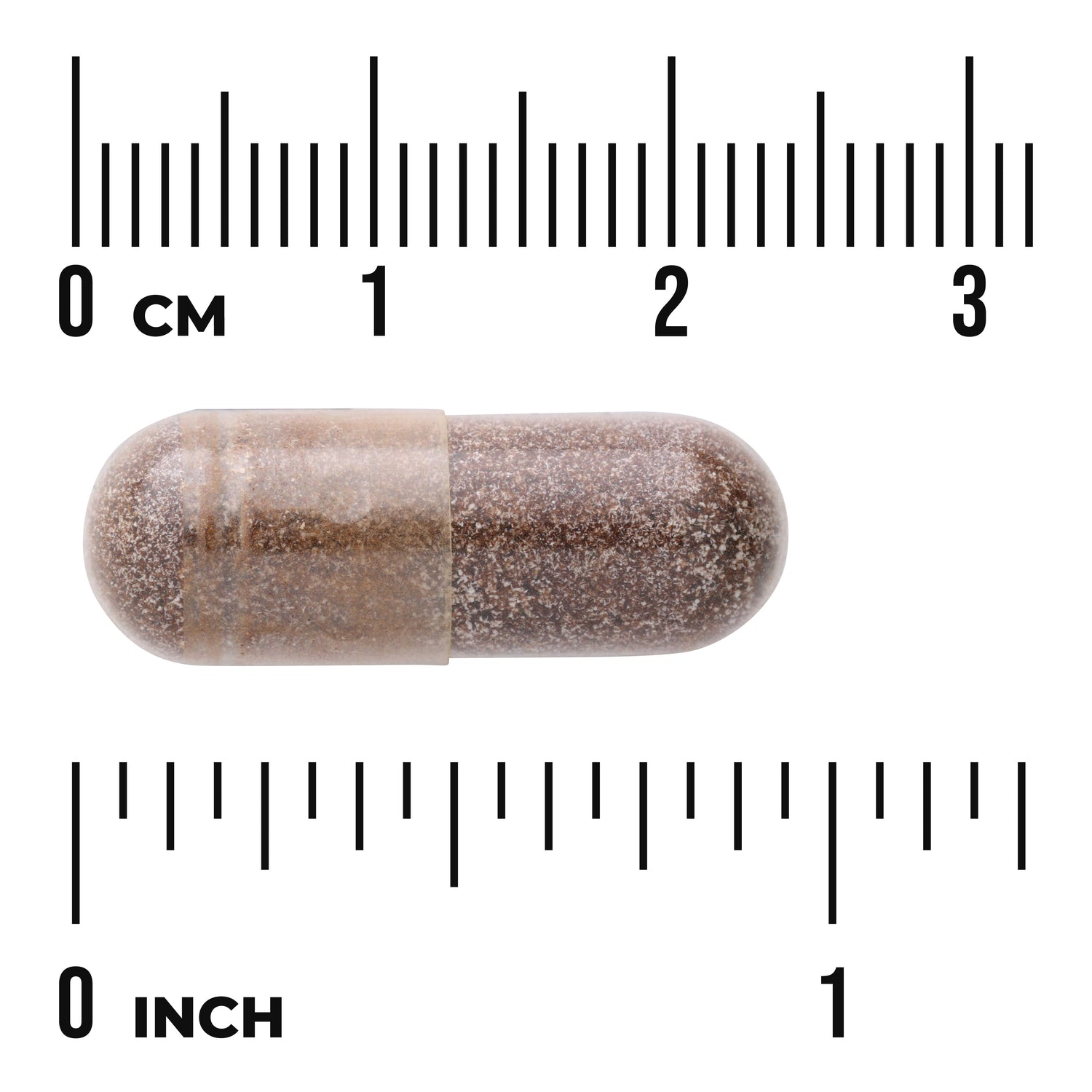 SWH176 | Brown supplement capsule shown with rulers in cm and inches for size reference