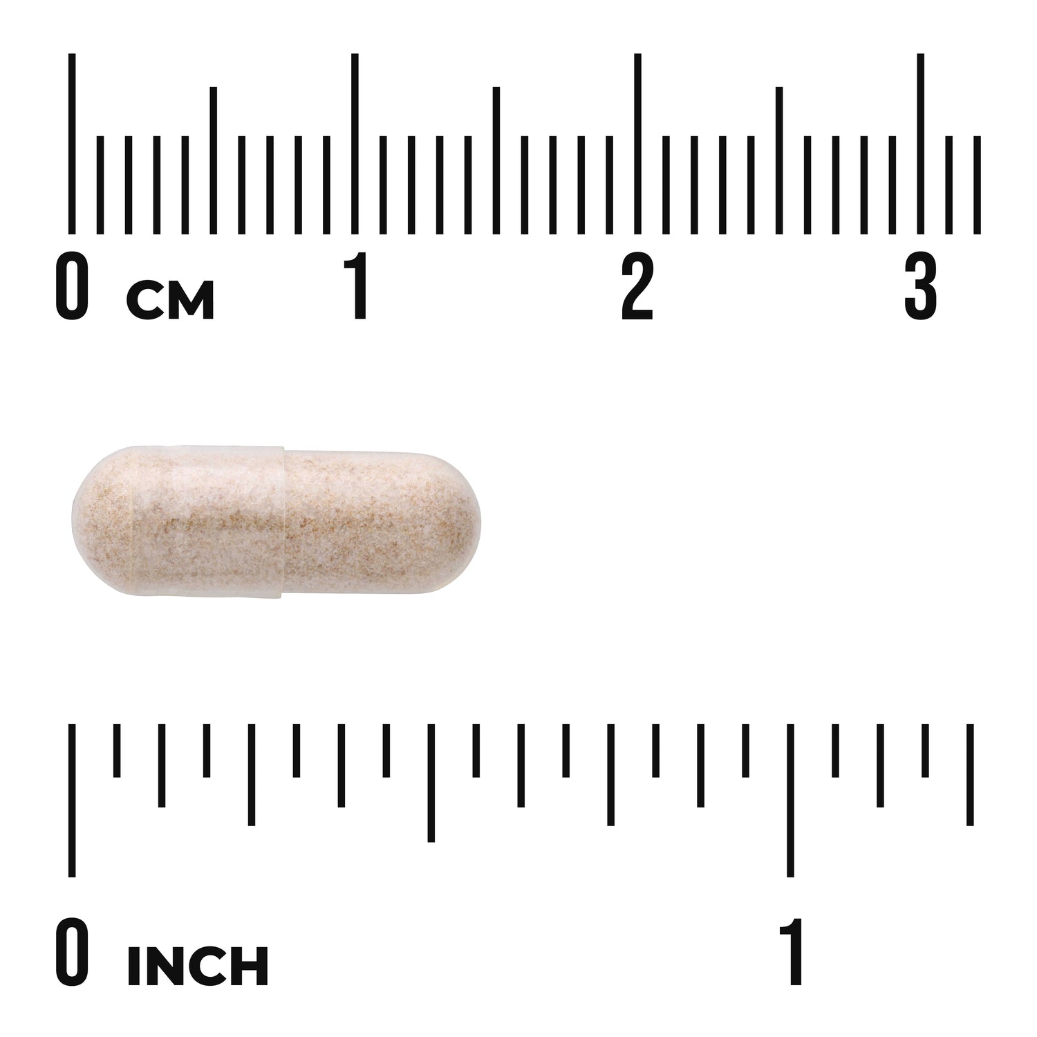 SW1705 | Beige capsule shown with centimeter and inch rulers