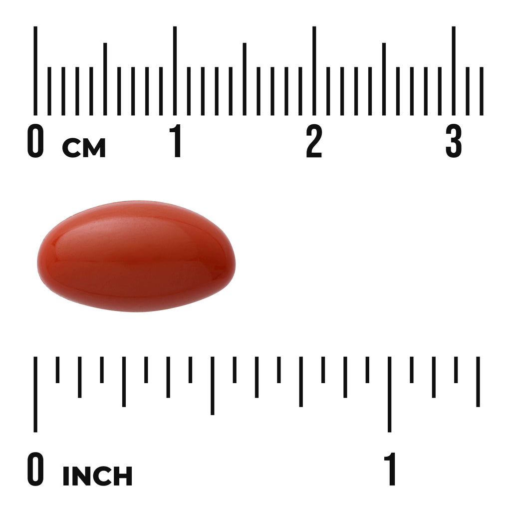 SWH219 | Red softgel size shown with rulers in centimeters and inches - Thumbnail