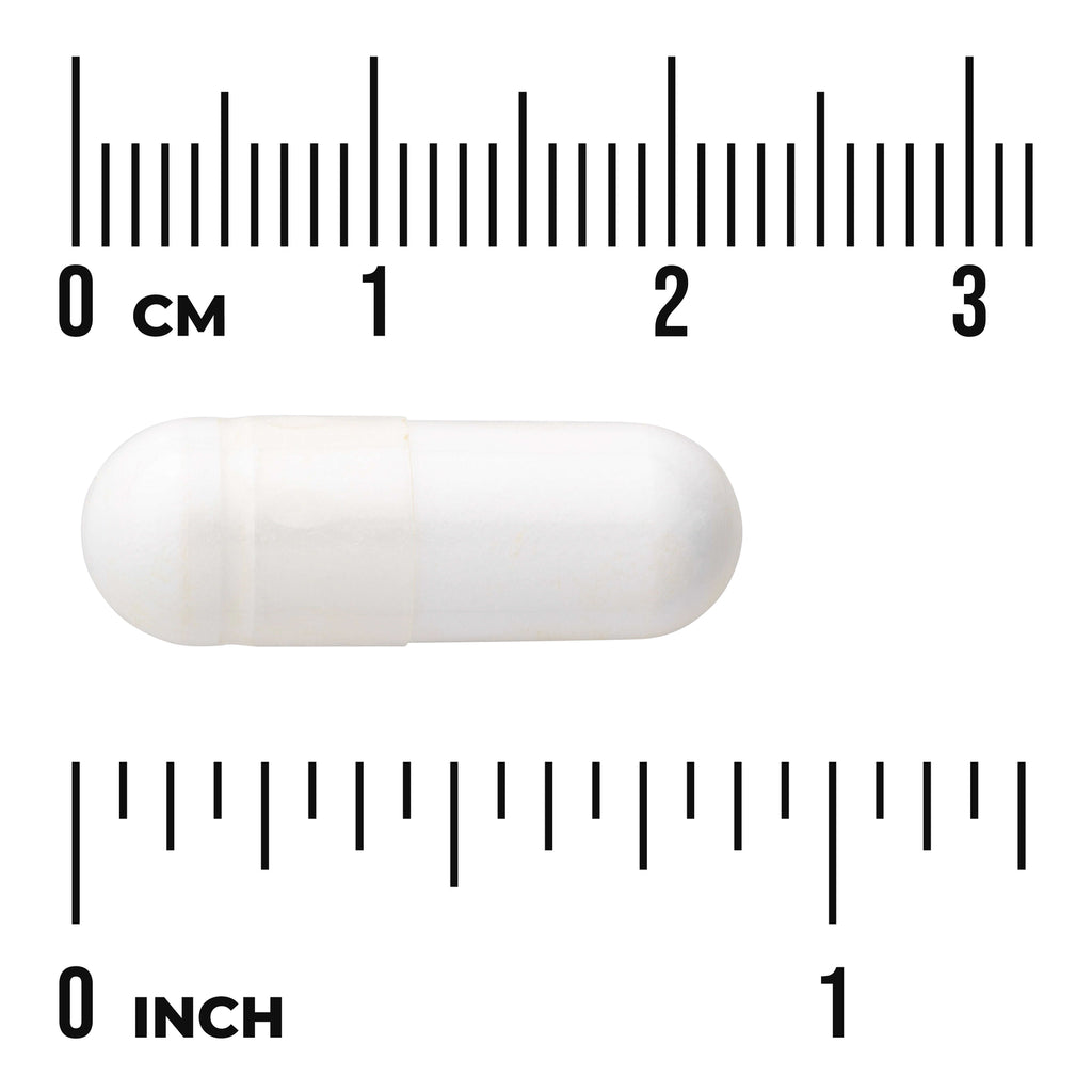 SW852 | White capsule with cm and inch ruler markings for size reference - Thumbnail