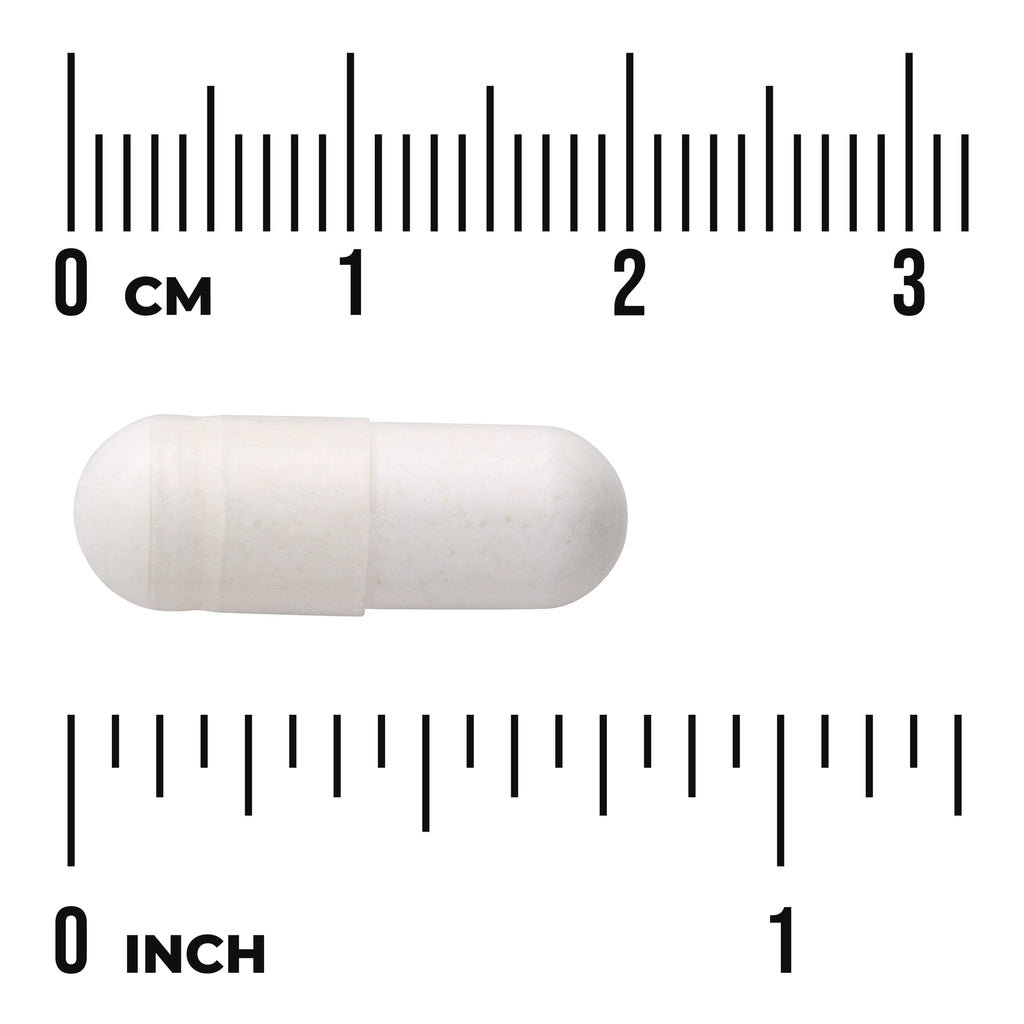 SWU704 | White capsule beside centimeter and inch rulers showing size, visible text "0 CM" and "0 INCH" - Thumbnail