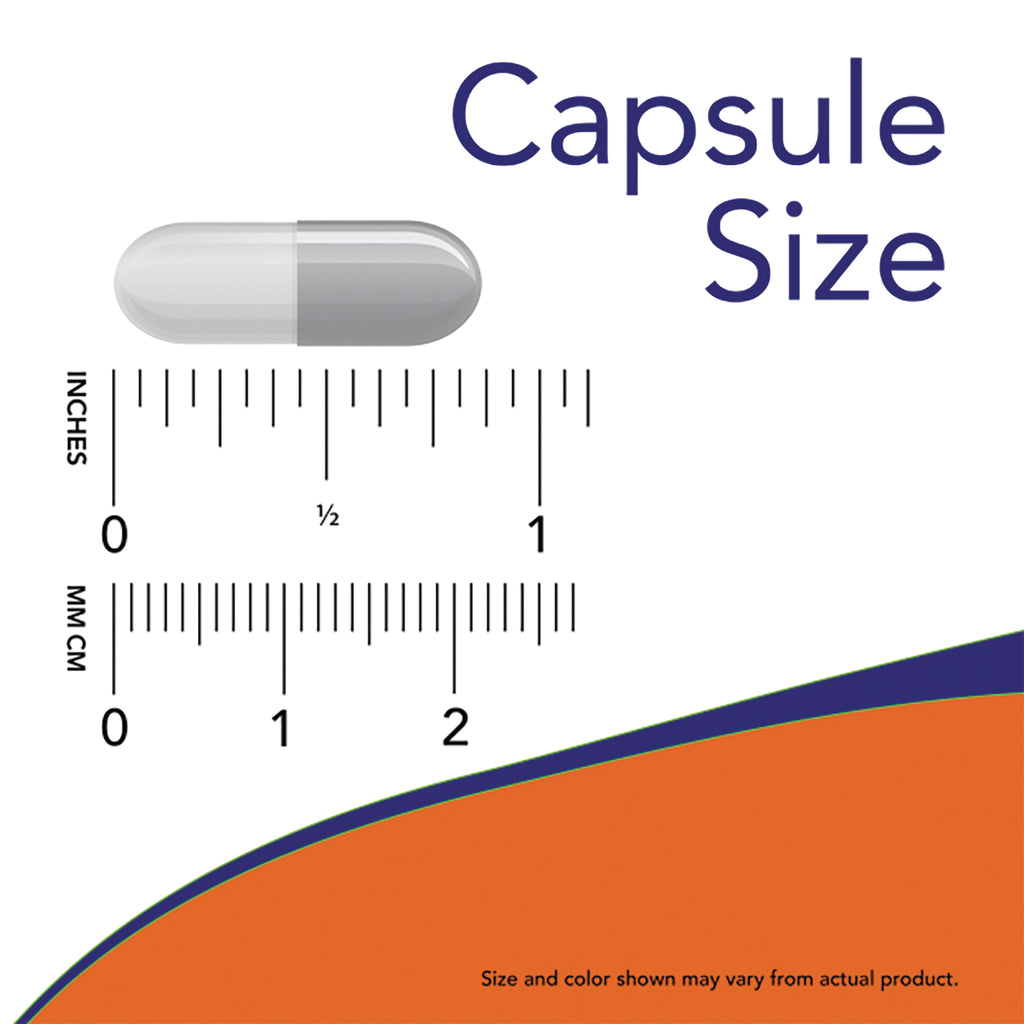 NWF1393 | half-gray capsule above inch and centimeter rulers labeled Capsule Size - Thumbnail