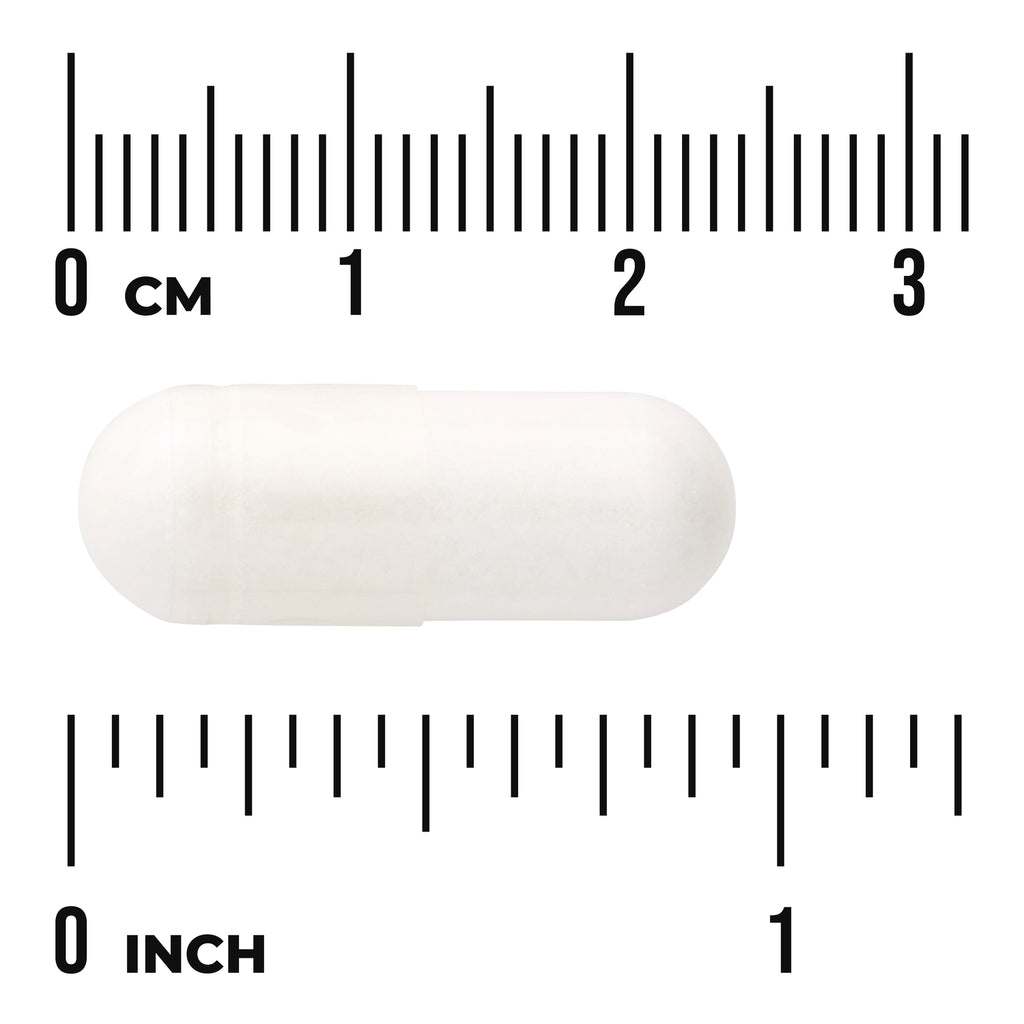 SW1698 | White capsule shown with cm and inch rulers for size reference - Thumbnail