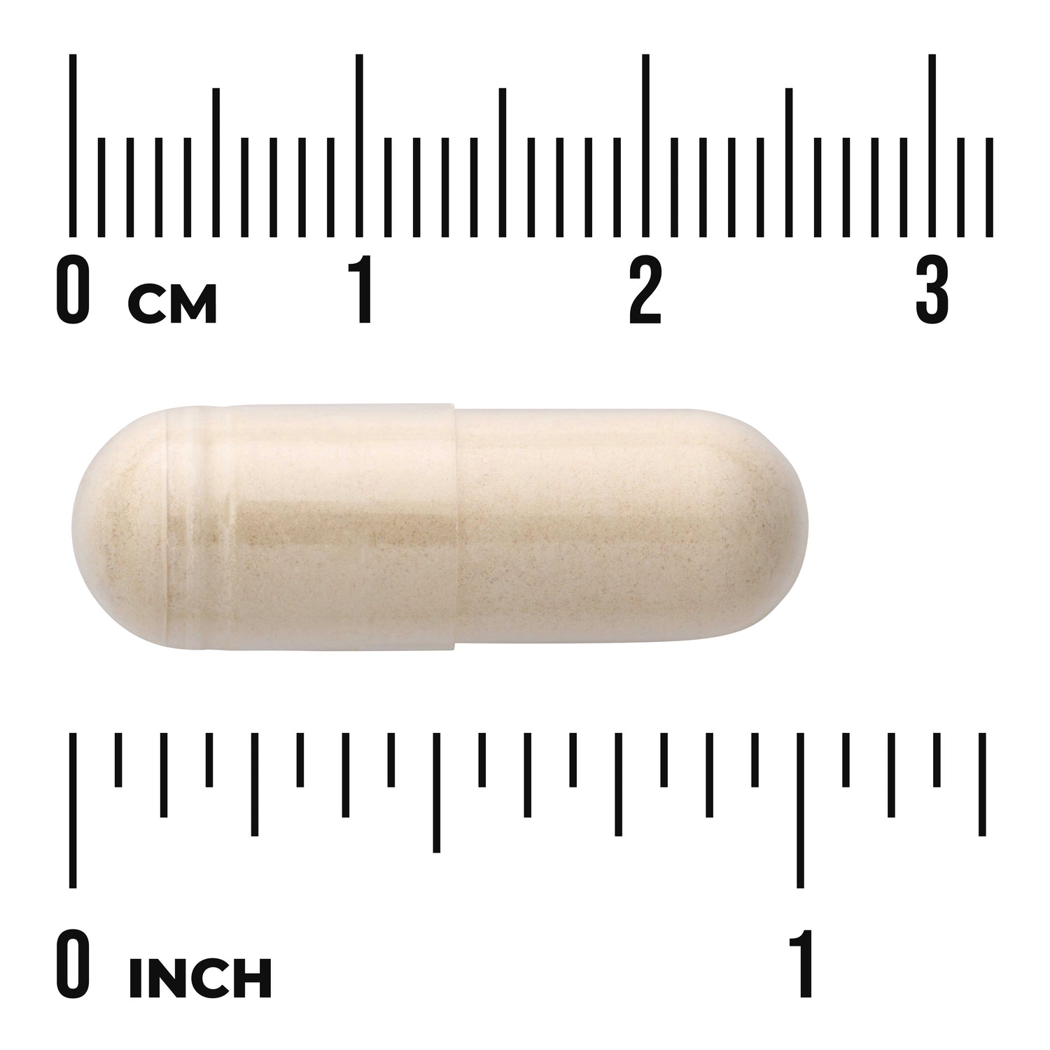 SW673 | Capsule with centimeter and inch rulers for size reference