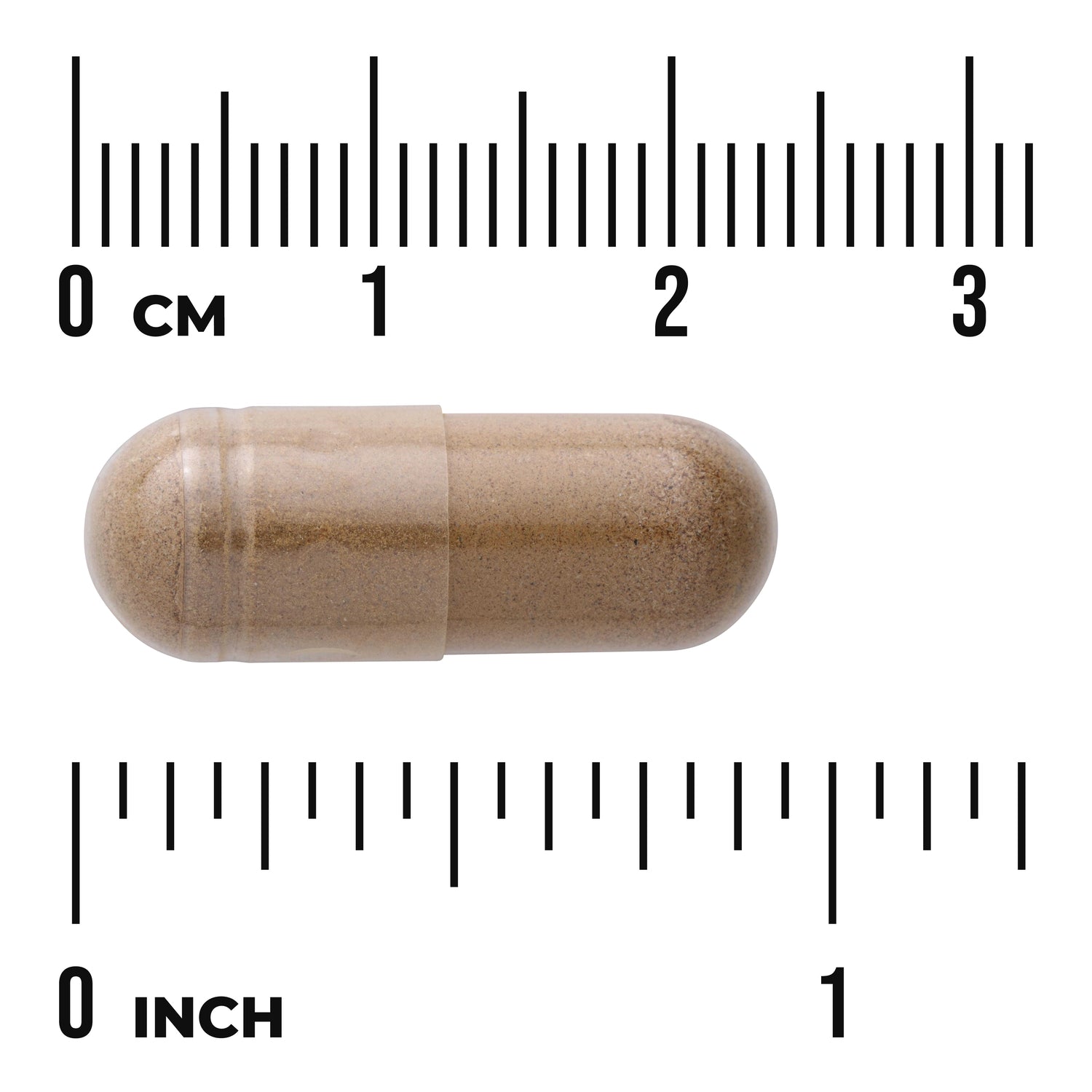 SW1344 | Brown powder-filled capsule on white background with rulers showing centimeters and inches