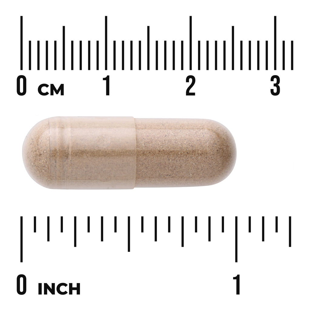 SW1386 | Capsule with powder shown next to cm and inch ruler for size - Thumbnail