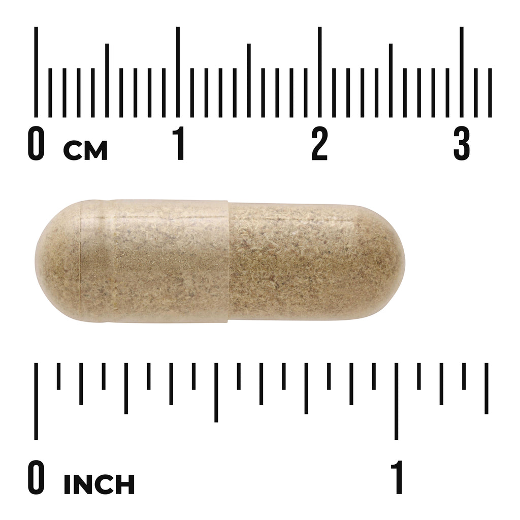 SW965 | Beige capsule with size scale, 03 CM and 01 INCH rulers - Thumbnail