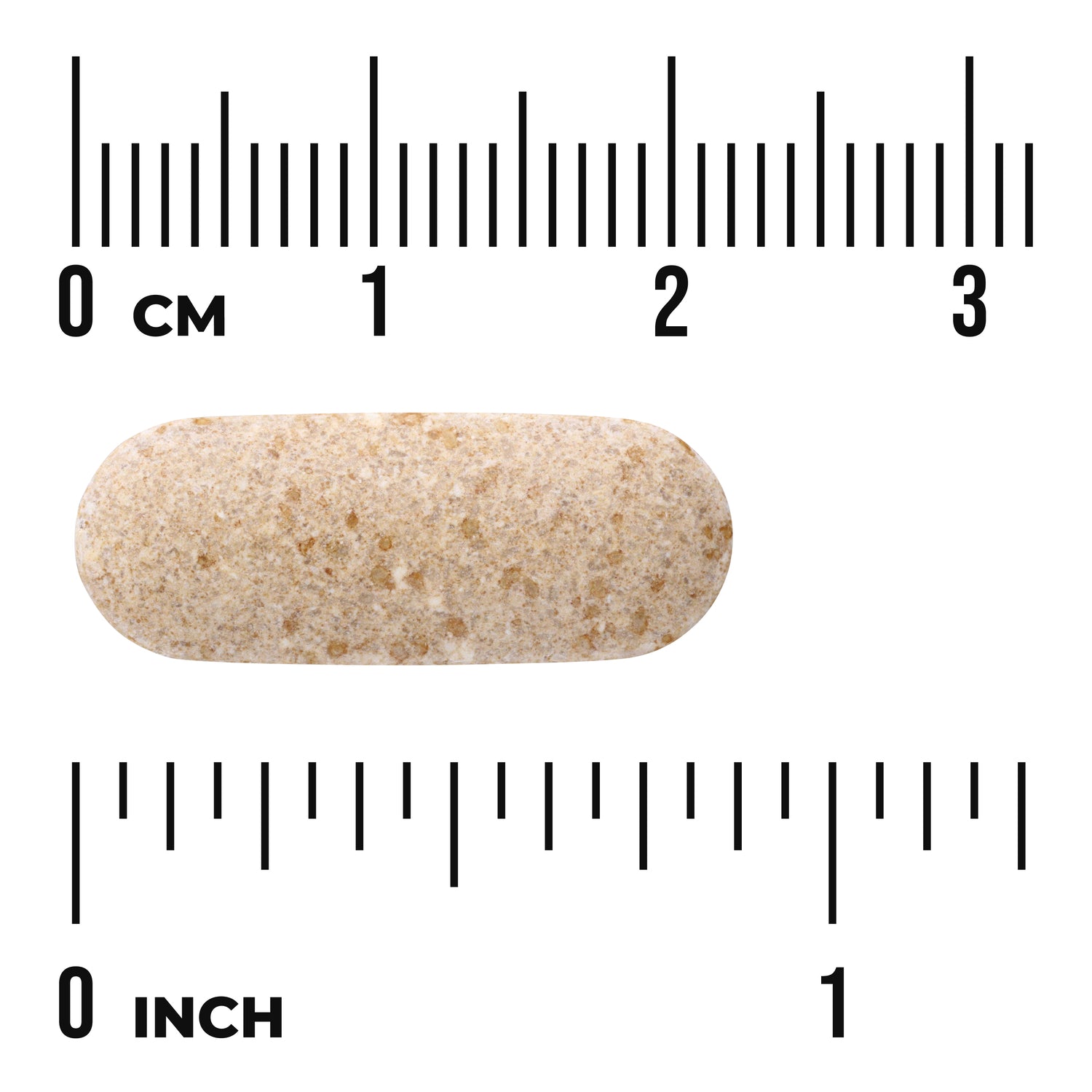 SW883 | Beige oblong tablet shown to scale with centimeter and inch rulers