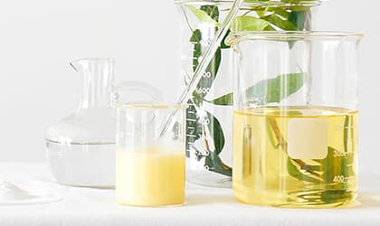 CBD vs THC: Everything You Need to Know