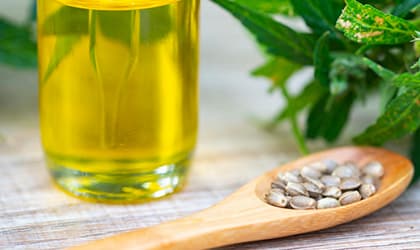 The Science of the Endocannabinoid System