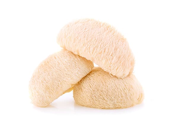 Image of lion's mane stacked up