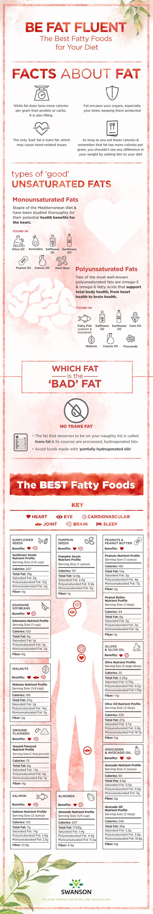 Be Fat Fluent Best Fatty Foods for Your Diet, list of good fatty foods