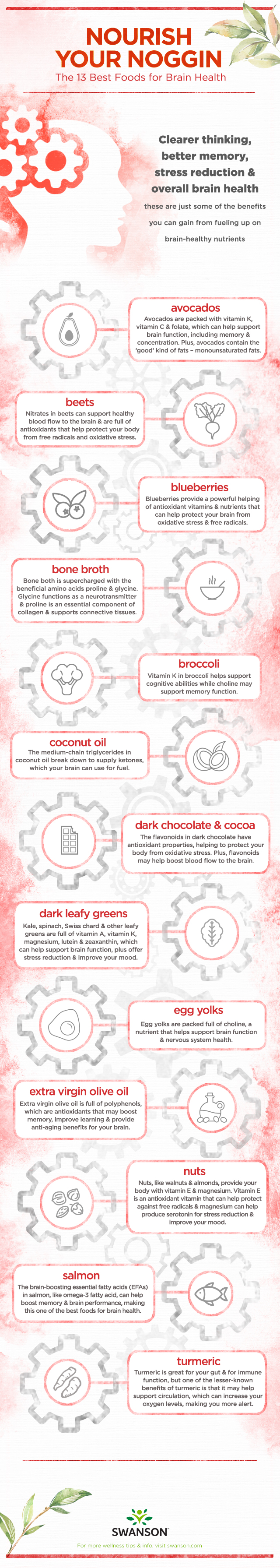Top Foods for Brain Health - infographic by Swanson Health