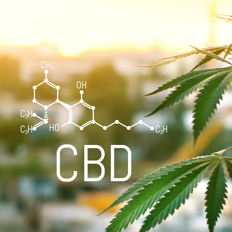 CBD vs THC: Everything You Need to Know