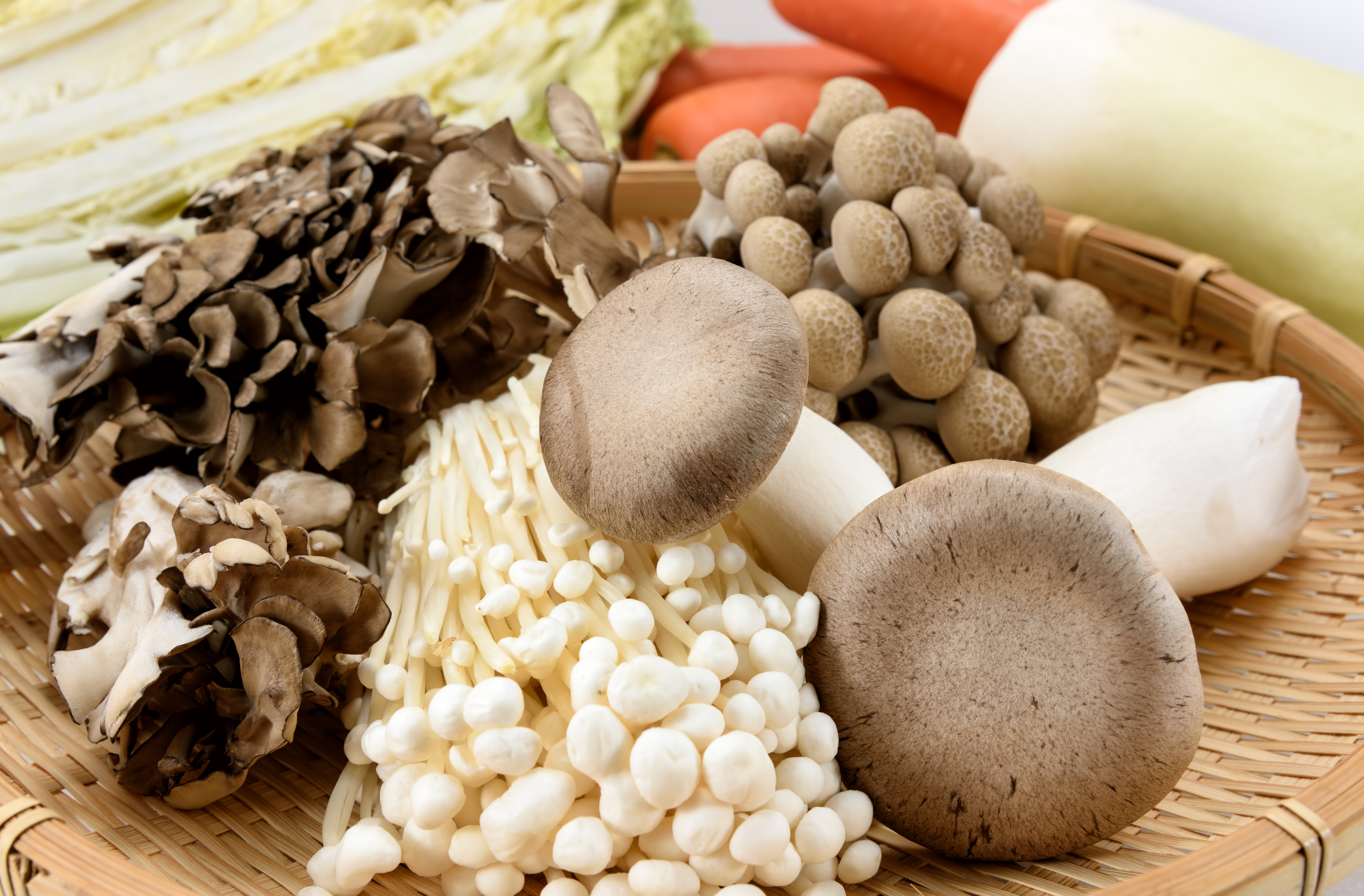 5 Mushrooms for Immunity