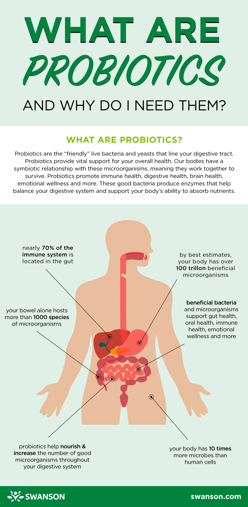What Are Probiotics? - infographic with facts about probiotics by Swanson Health
