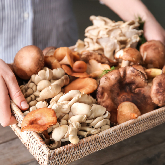 Top 10 Mushrooms for Better Health