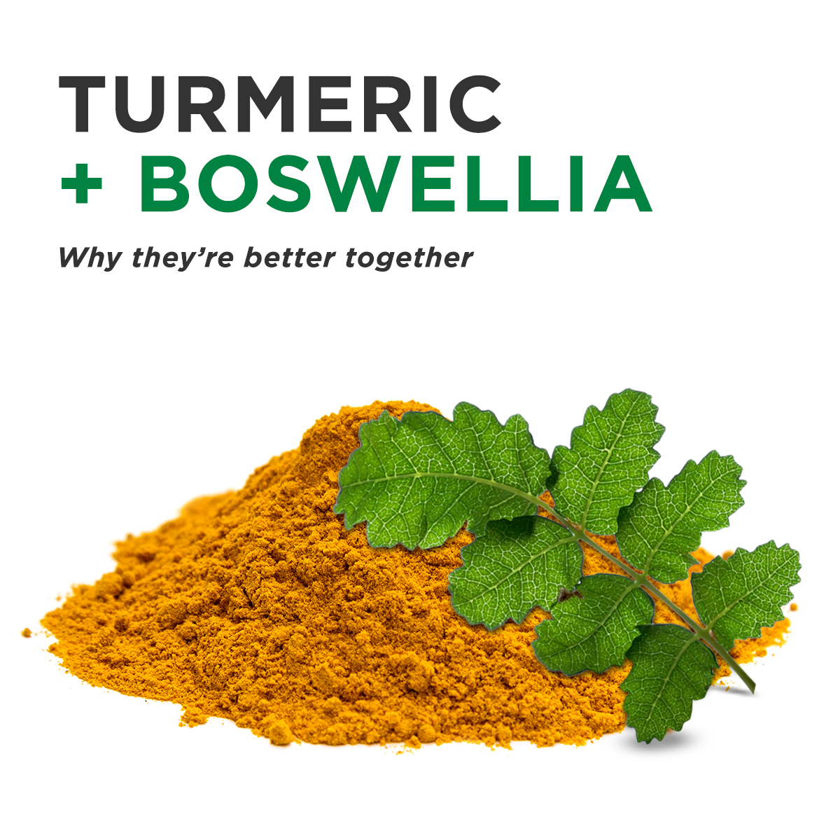 Turmeric  &  Boswellia The Perfect Joint Heath Duo
