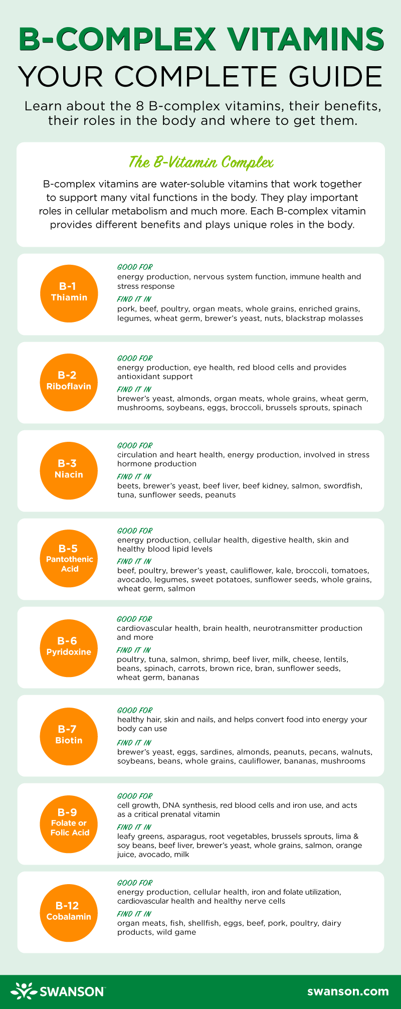 B-Vitamins Guide Infographic