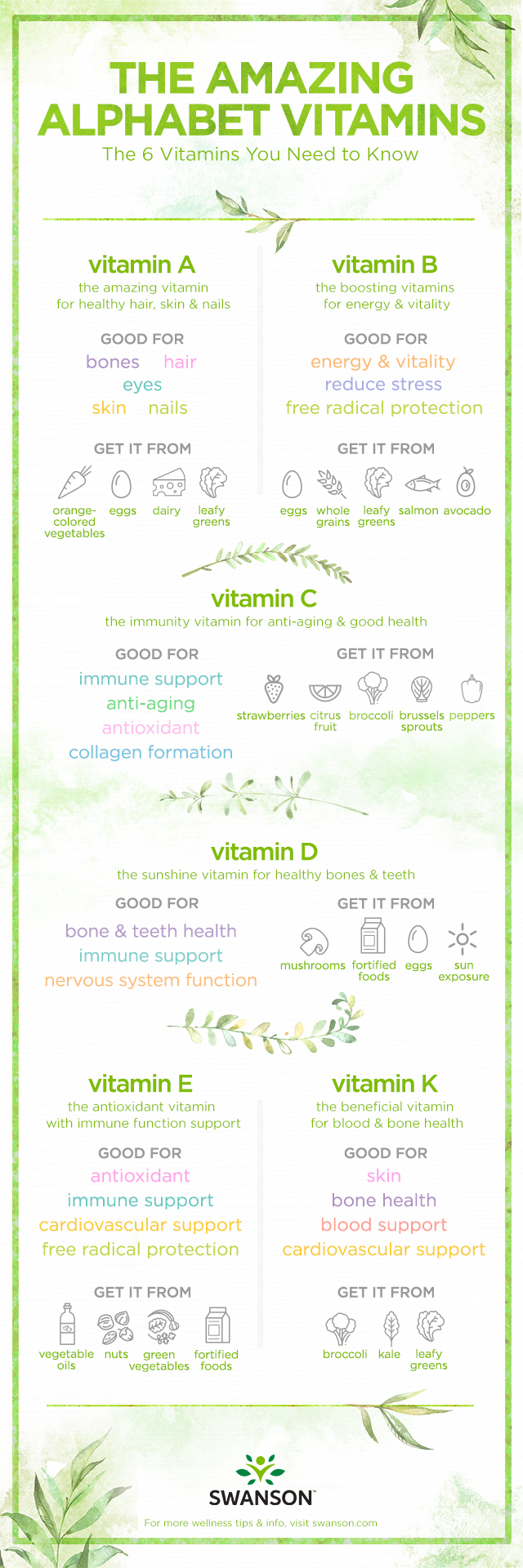 The Amazing Alphabet Vitamins - Six Vitamins You Need to Know Swanson Health