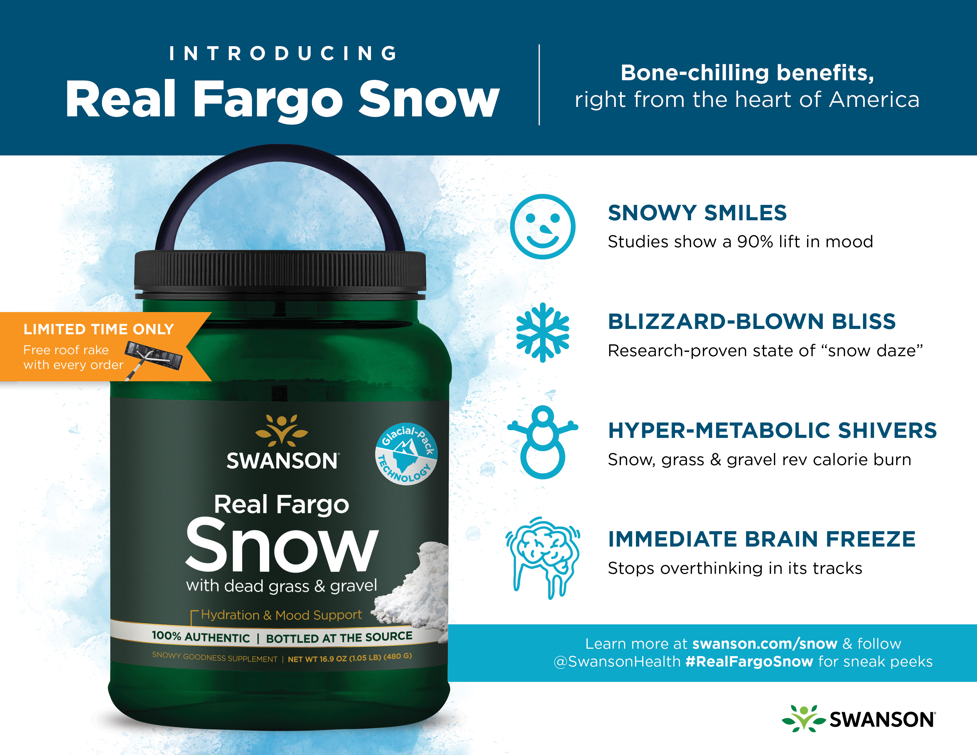 real fargo snow