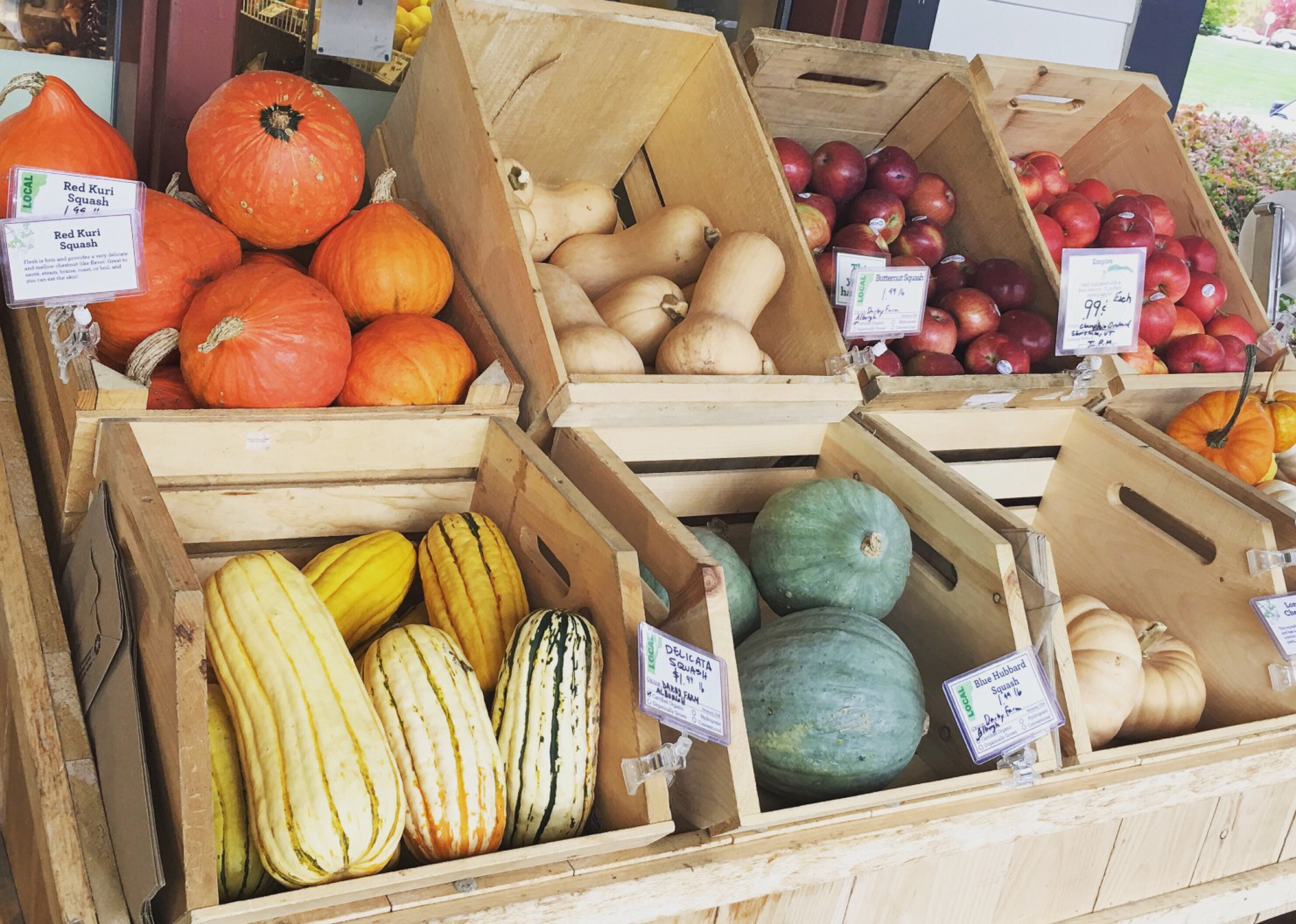 Nutritional Squash and Gourds