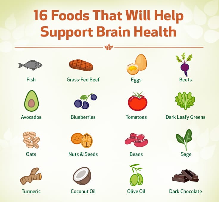 Brain Foods For Seniors | bionews.nutrimedes.be