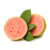 Guava rich in vitamin c